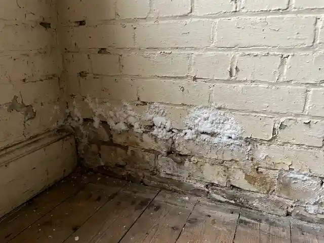 Salpeteruitslag onderaan een oude binnenmuur